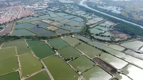 Mai-Po-Nature-Reserve-and-wetlands,-Hong-Kong,-Aerial-view