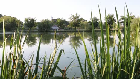 scenic pond at event venue, gardens