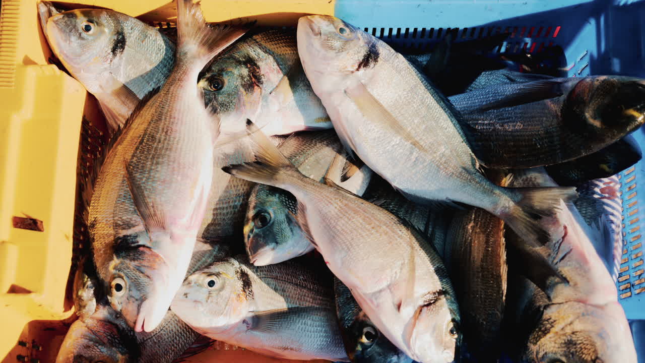 Freshly caught fish displayed in colorful plastic crates at a local market