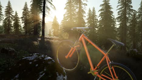 bicycle in mountain forest at sunset