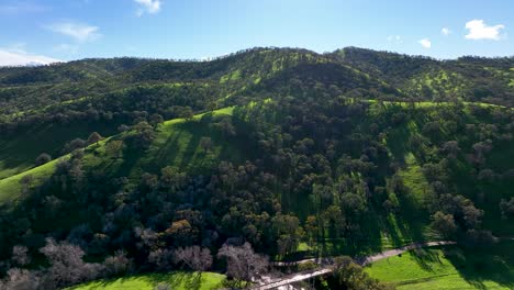 Vista-Aérea-De-Robles-En-La-Montaña-Verde-A-Lo-Largo-De-Senderos-Para-Caminatas-En-La-Reserva-Regional-De-Round-Valley,-Brentwood-California