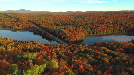 aerial footage sliding right across a forest in autumn colors with two reflective ponds