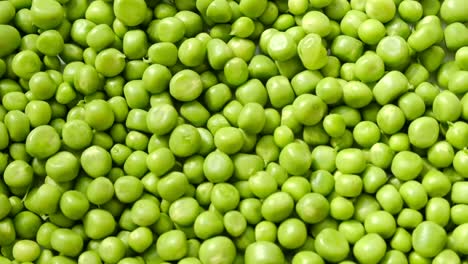 dolly shot over heap of fresh organic green peas vegetable harvest healthy eating beautiful texture closeup of fresh green peas healthy vegetarian food