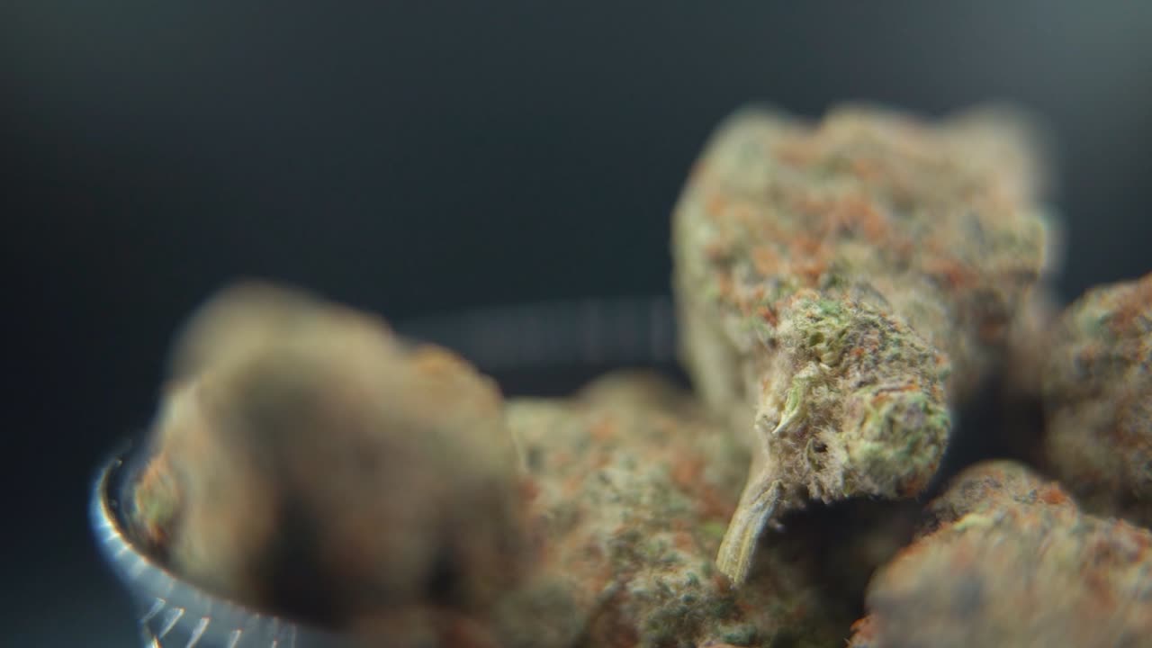 Man reviewing fresh cannabis flowers in a macro view, hands showcasing resin-rich buds for a polished, commercial stock footage, slow motion 120 fps