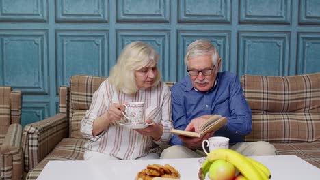 Pareja-De-Ancianos-Jubilados-Hablando-Bebiendo-Té,-Leyendo-Un-Libro-En-Un-Moderno-Salón-De-Estar-Juntos