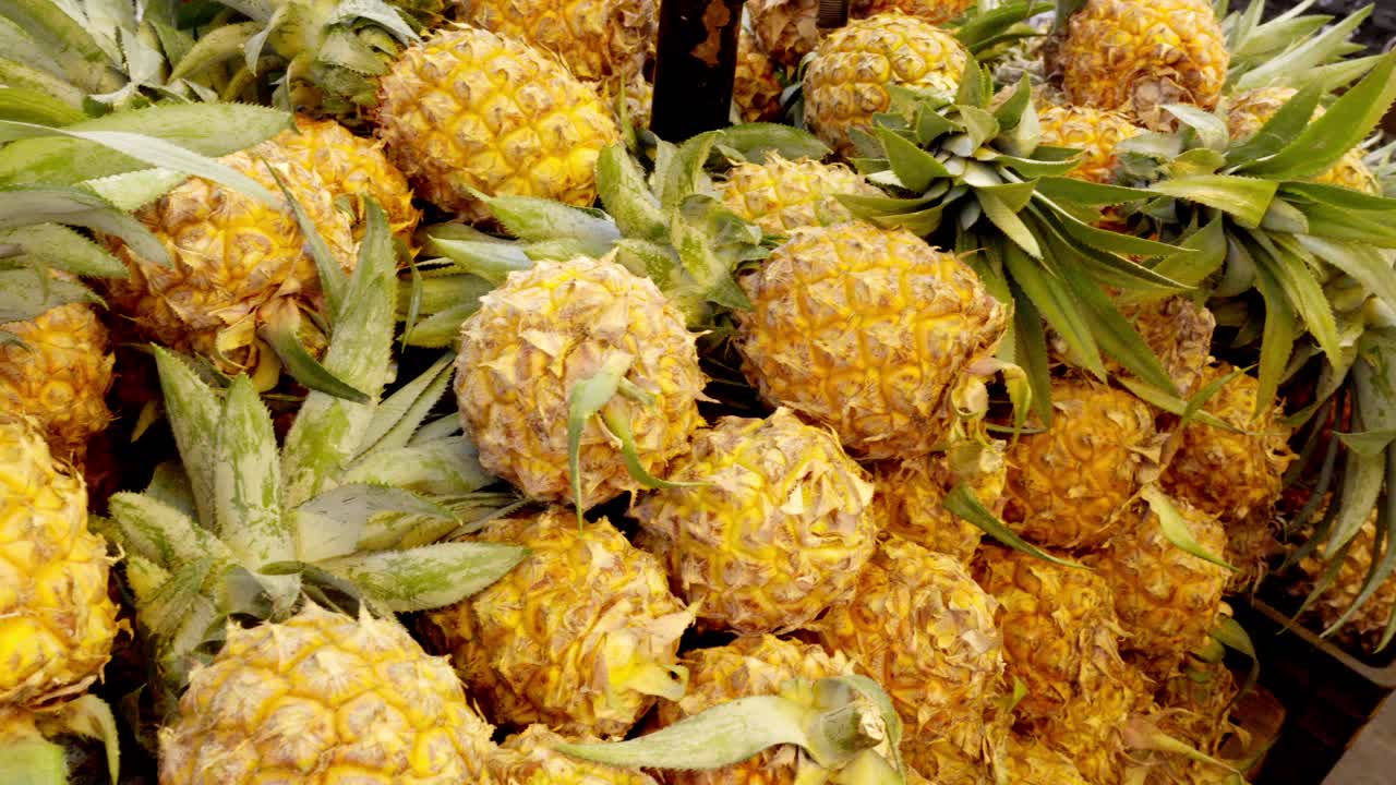 Fresh Ripe Pineapples Market Stall, small Varity of pineapples in Indian market