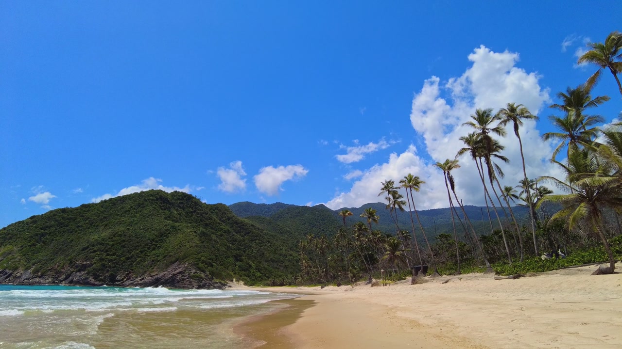 Panoramic view of Choroni's large beach on a sunny day, with crystal-clear waters and palm trees along the shore—a secluded beach on the coast of Aragua, Venezuela