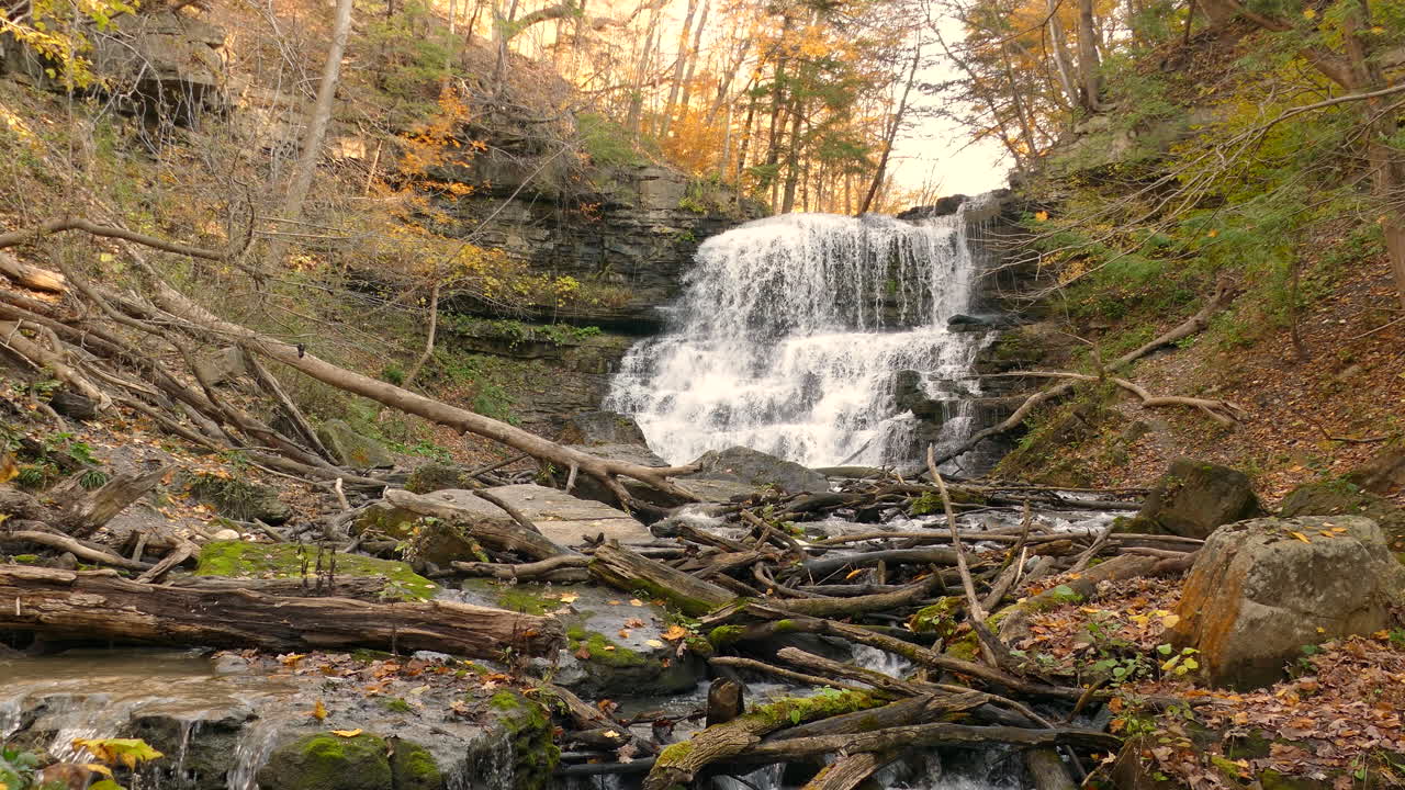impresionantes vistas otoñales de las cataratas de decew inferiores que caen en cascada a través de rocas y bosques en el bosque