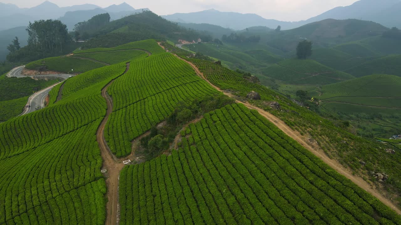 Ripresa aerea con drone della tranquilla bellezza dei giardini di tè e delle dolci colline di Munnar