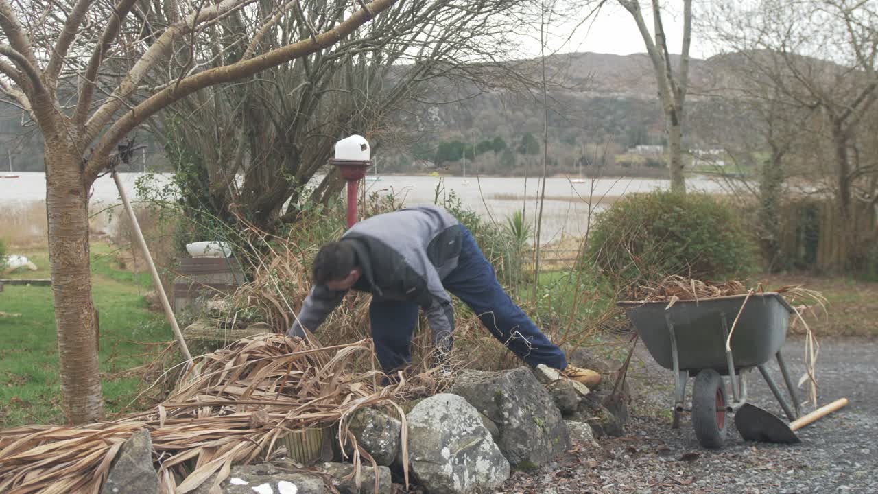 Homem removendo plantas mortas do jardim com carrinho de mão saindo do enquadramento