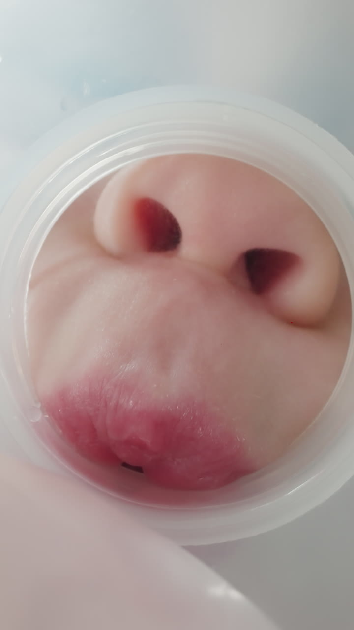 Cute girl drinks water from plastic bottle. View of kid lips and nose in front of bottle neck. Blonde child takes few sips and leaves macro low angle shot