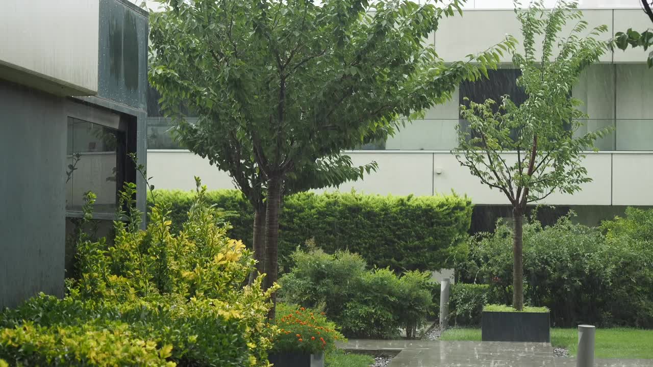 Rainy Day Courtyard Scene