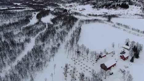 vista de avión no tripulado en las montañas de tromso en invierno lleno de nieve mostrando un bosque desde arriba en noruega y pequeñas casas