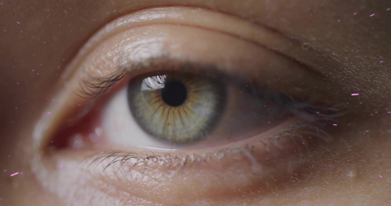 Occhio femminile che avvia la riproduzione, rimanendo aperto, poi battendo le palpebre e con la palpebra che si abbassa per il tracciamento oculare.