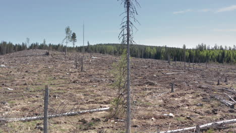 tract of land where forest trees have been felled for timber industry, aerial