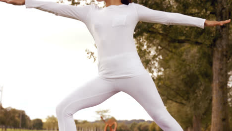 bruneta haciendo yoga en el parque.