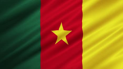 Bandera-De-Camerun-Ondeando-Fondo