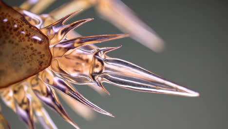 abstract translucent glass sculpture close-up