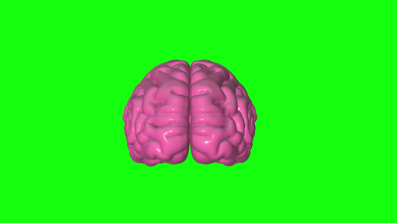 8개의 다른 애니메이션 3d 인간 뇌 해부학 녹색 스크린 마음 천재 지능 스마트 크로마 키