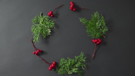 video de ramas de decoración de navidad con bayas rojas y espacio de copia en fondo negro
