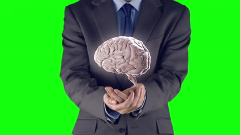 Businessman-presenting-brain-with-hands