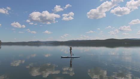 vista aérea da menina em maiô roxo fazendo paddle surf no mar 1