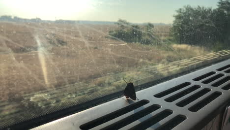 bug traveling inside the train