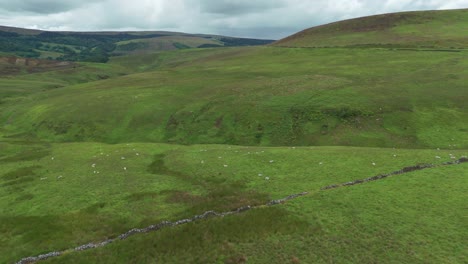 vista aérea giratoria de los campos verdes vacíos del parque nacional del distrito de peak durante un día nublado en inglaterra
