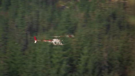 A-helicopter-flies-over-a-pine-forest-at-Mt-St-Helens-National-Park