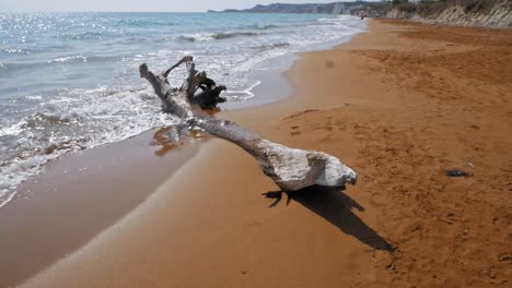 branch and turquoise water on the red sand beach of megas lakkos in greece - static shot