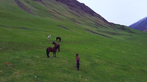 lush green meadows, a winding river, and snow-capped mountains create a breathtaking landscape