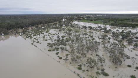 El-Agua-Se-Extiende-Hacia-Las-Llanuras-Aluviales-Cerca-De-Menindee-En-Nueva-Gales-Del-Sur,-Australia