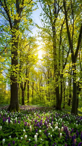 beautiful spring and autumn forest landscapes