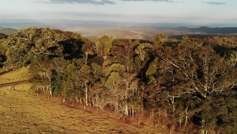 Drone-flight-over-the-Australian-outback-landscape-at-sunset,-with-trees-and-clouds