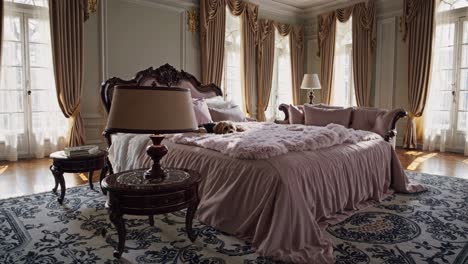 luxury classic bedroom with dog