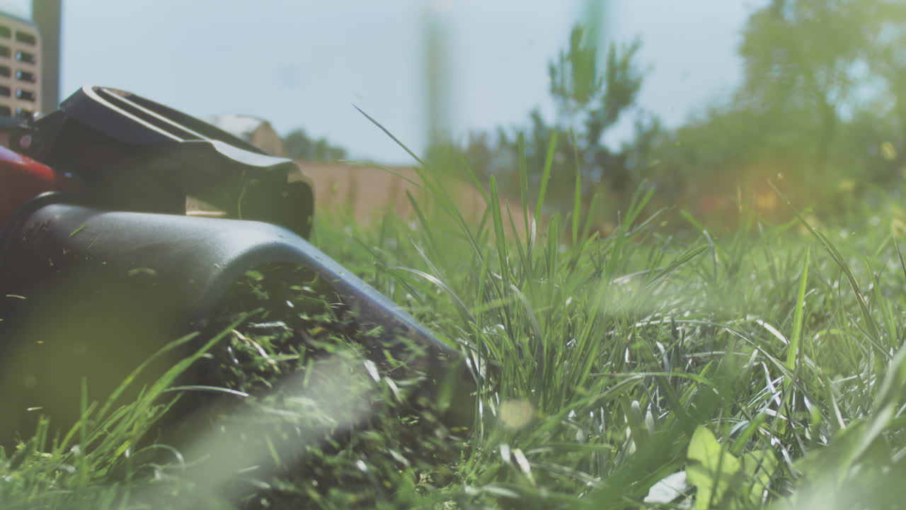 잔디를 잘라내는 잔디 기 기계