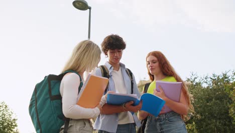 Group of students studying together on campus