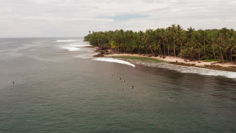 vuelo aéreo hacia los surfistas flotando en el océano por la playa de palmeras de indonesia