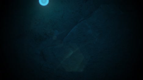 fly smoke on dark blue wall texture