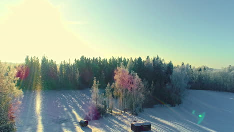 drone flies through snowy flurries above forest and shed in winter