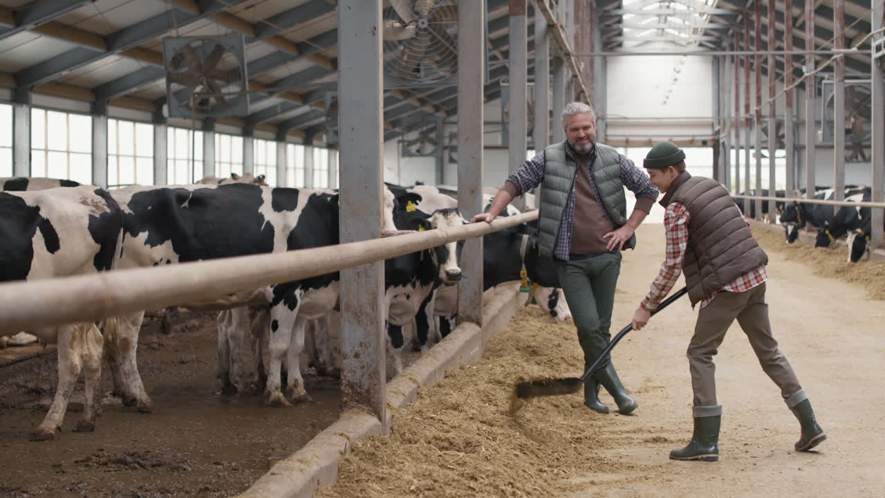 Man Overseeing Work of 15-year-old Boy at Dairy Farm
