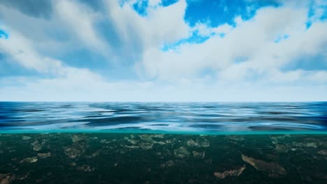 vista submarina con el horizonte y la superficie del agua divididos por la línea de flotación