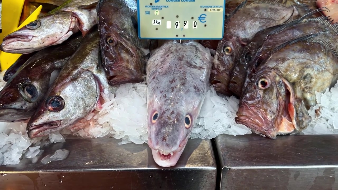Uma banca movimentada de mercado de peixe exibe uma variedade de peixe fresco, incluindo congro e peixe-galo no gelo. Ideal para blogs de culinária ou promoções da indústria de frutos do mar.