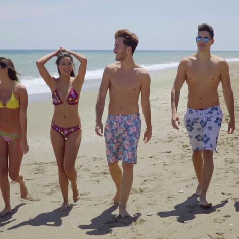 grupo de amigos caminando juntos en la playa soleada