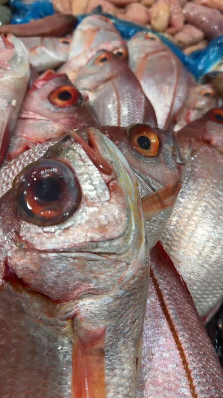 Primo piano di pesce dentice rosso fresco al mercato