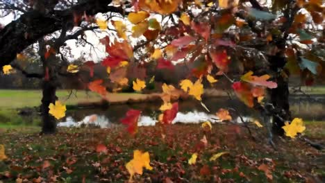 colorful leaves drift gently from the trees, creating a picturesque view around a calm pond in a tranquil park during autumn. nature's beauty is on full display.
