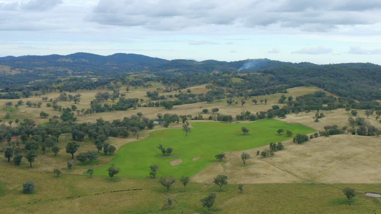 dron aéreo de 4k sobre el campo australiano de colinas verdes y granjas de campo de avena