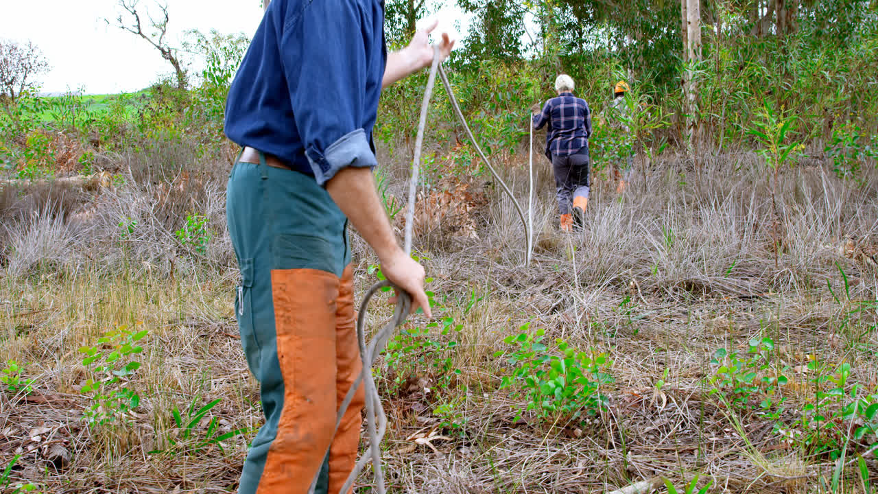leñadores trabajando en el bosque 4k