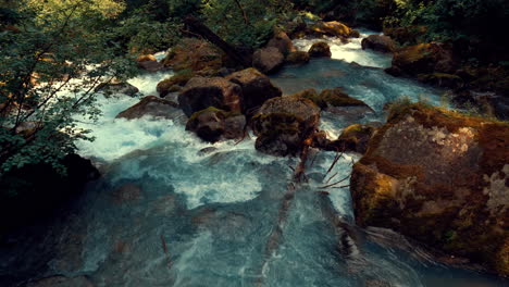 top view of river flowing in the forest