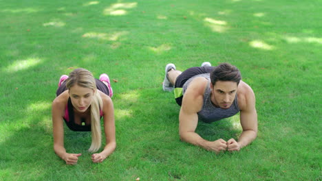 Sport-couple-training-plank-exercise-together-on-grass-in-summer-park.